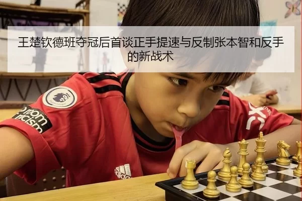 wang-chu-qin-de-ban-duo-guan-hou-shou-tan-zheng-shou-ti-su-yu-fan-zhi-zhang-ben-zhi-he-fan-shou-de-xin-zhan-shu-2-534.jpg